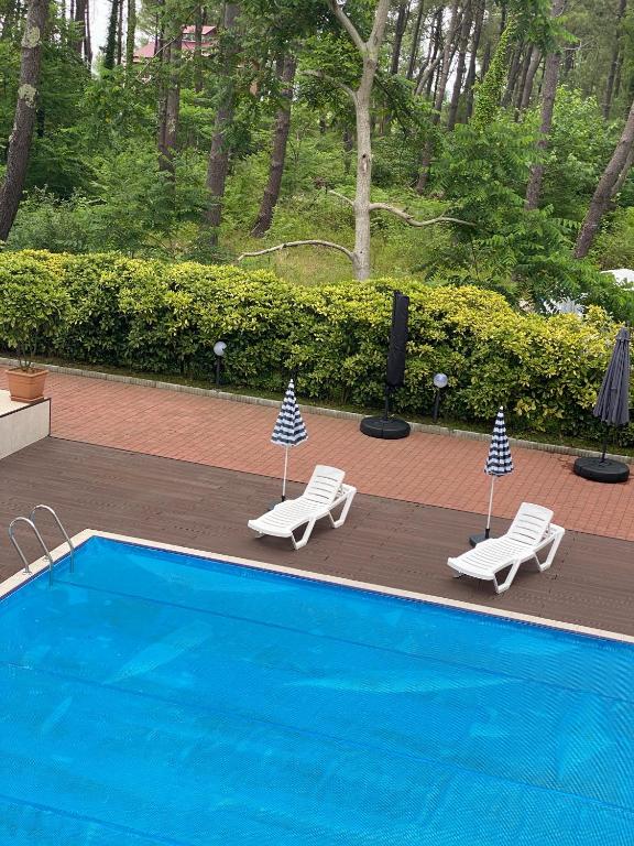 Bazén v ubytování Buxus Hotel Shekvetili nebo v jeho okolí