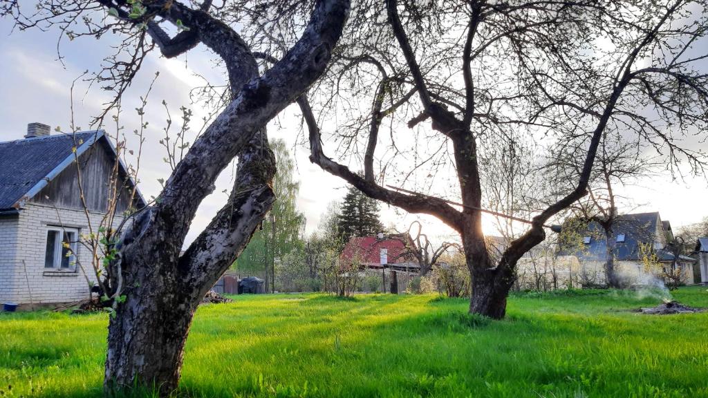 Zahrada ubytování House with spacious garden and a simple sauna