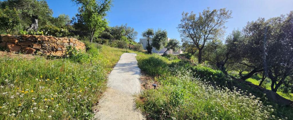 Las estrellas del duende - 18