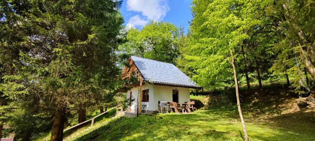 una pequeña casa de campo en medio de un bosque en Chatka Pod Trohańcem, en Lutowiska