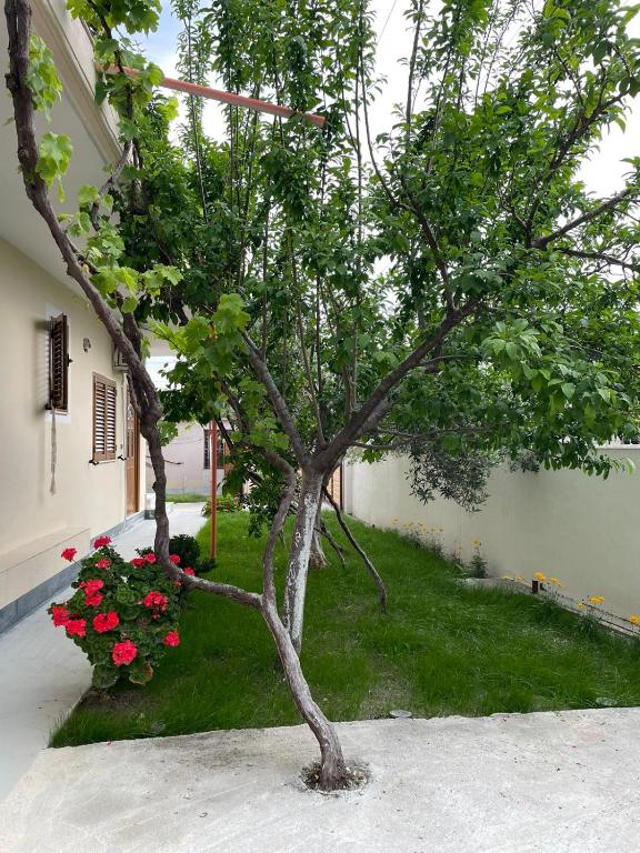 Zahrada ubytování Blossom Apartments
