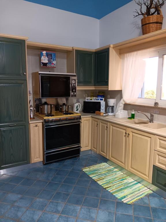 Kuchyň nebo kuchyňský kout v ubytování Villa Anna