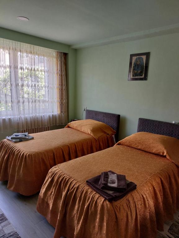 Habitación con 2 camas y ventana en Rodica Apartment, en Sibiu