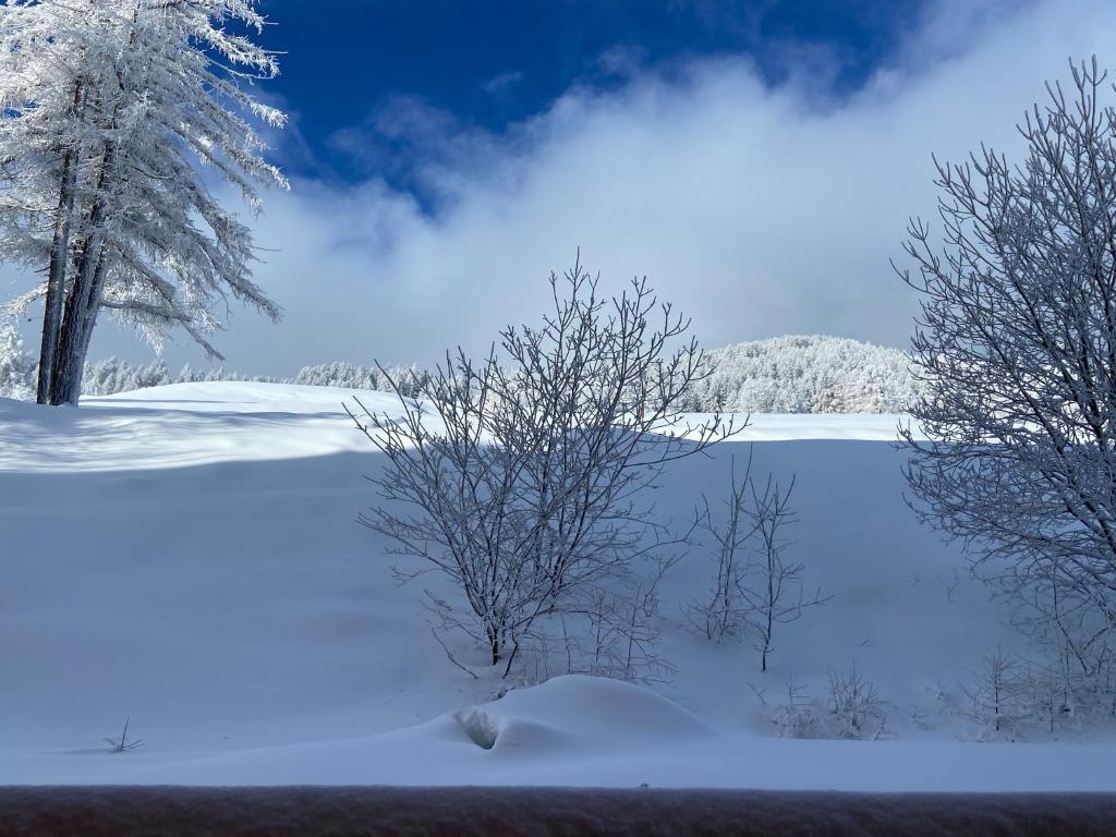 Pied des Pistes, 2 pièces, 6pers, Piscine et Sauna v zime