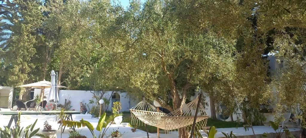 Zahrada ubytování Les Sons du Jardin Monastir