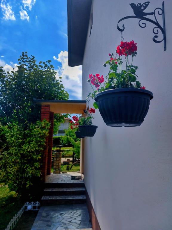 Vrt ispred objekta Apartman Aurora