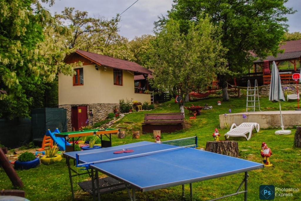 a backyard with a ping pong table and a house at Căsuțele dintre vii in Runcu