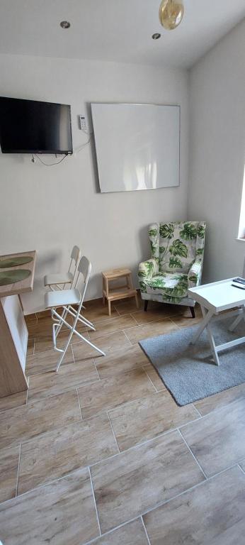 Televízia a/alebo spoločenská miestnosť v ubytovaní Studio apartment in center of Zagreb "Vidra"