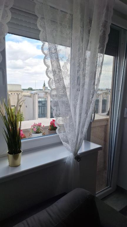Posezení v ubytování Apartman u Zemunu