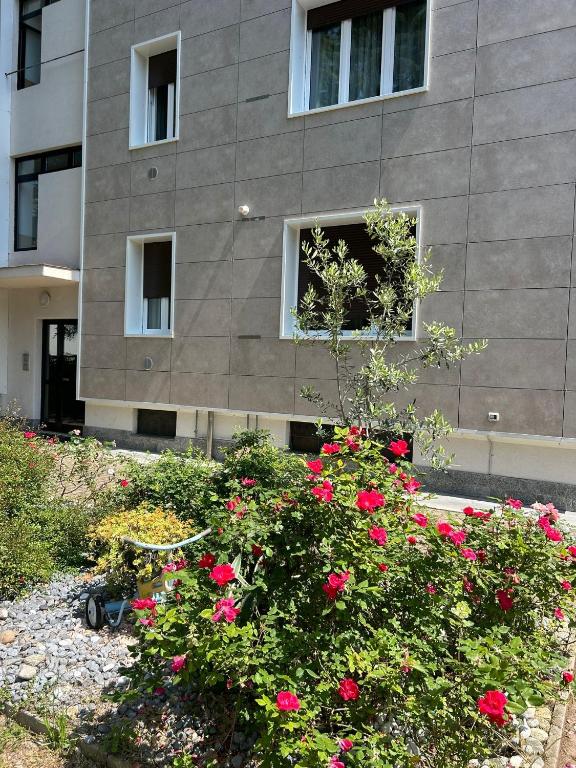 Vonkajšia záhrada v ubytovaní BeB via Sardegna