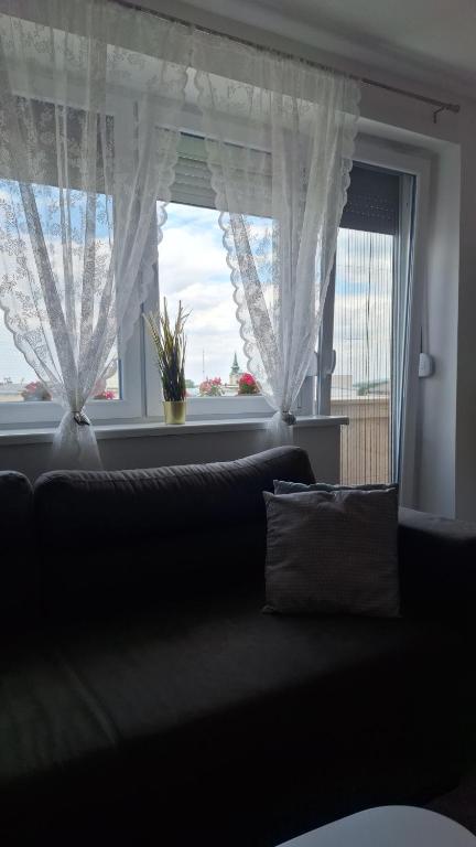 Posezení v ubytování Apartman u Zemunu