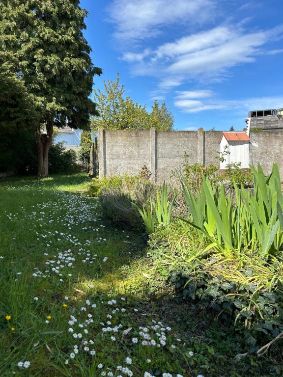 un jardin avec des fleurs blanches et une clôture dans l'établissement La casa de Mimi, 