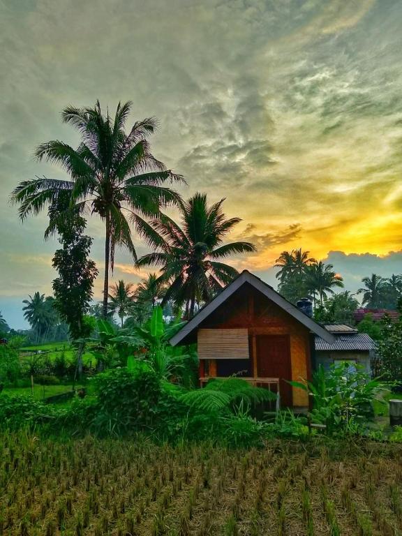a house in a field with two palm trees at Citra Homestay in Tetebatu