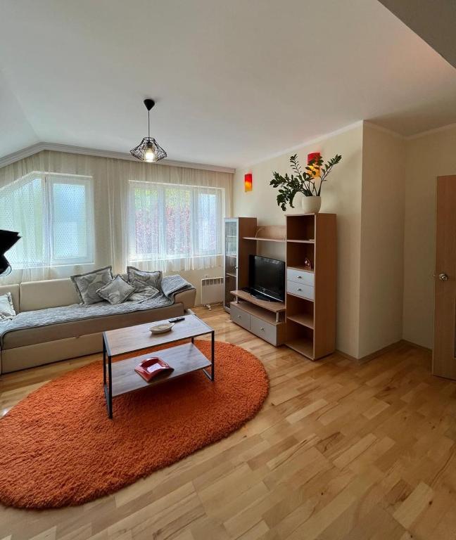 a living room with a couch and a coffee table at Anzoli 1 in Nikšić