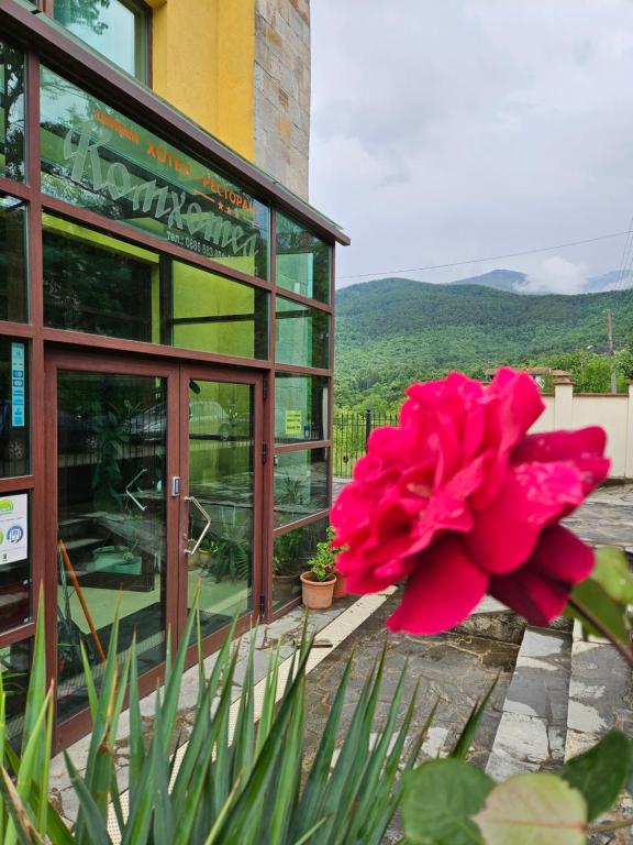 a pink flower sitting in front of a building at Family Hotel Komhotel in Berkovitsa
