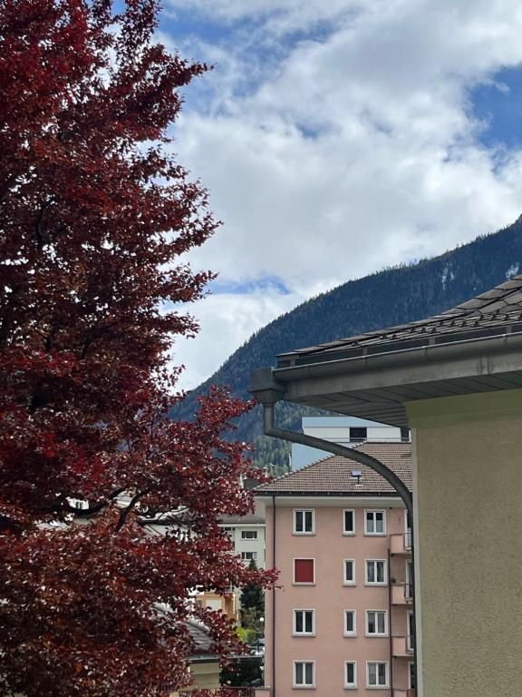 Nespecifikovaný výhled na hory nebo výhled na hory při pohledu z hotelu