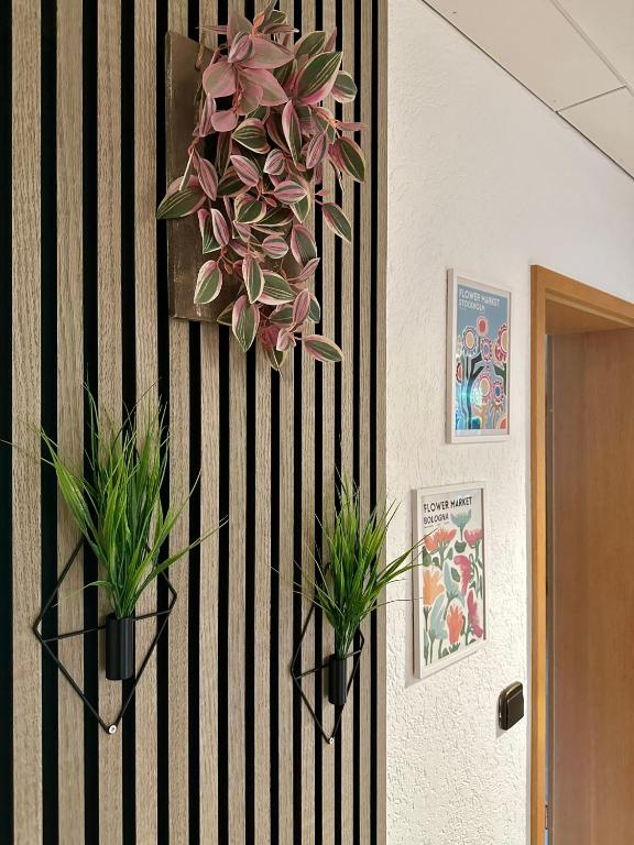 two potted plants are hanging on a wall at Schöne Wohnung mit großem Garten in Stockach