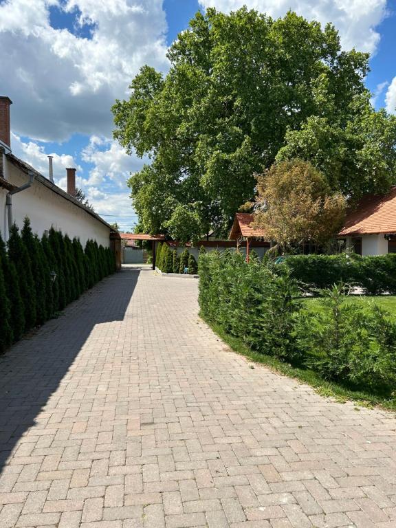 Zahrada ubytování Platán Panzió