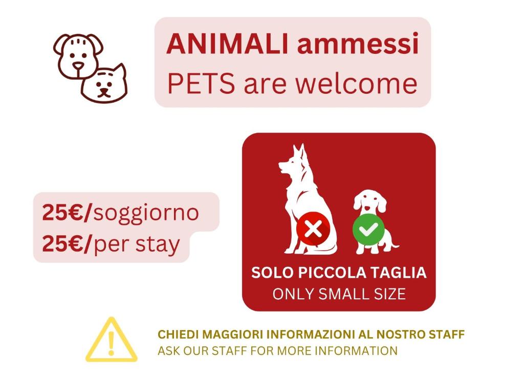 Kép CaseOspitali - Daimò, delizioso bilocale Fiera perfetto per 5 szállásáról Bolognában a galériában