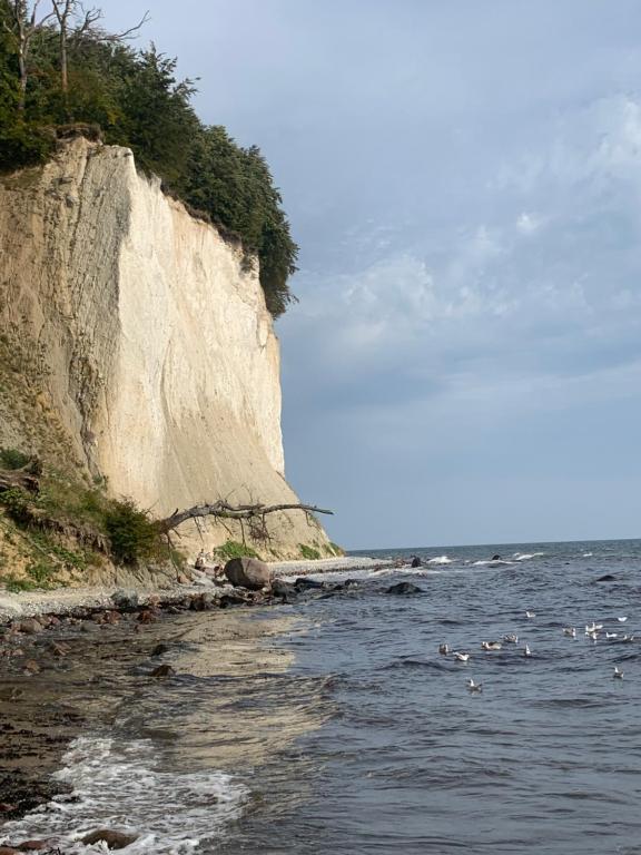 Příroda nedaleko prázdninového domu