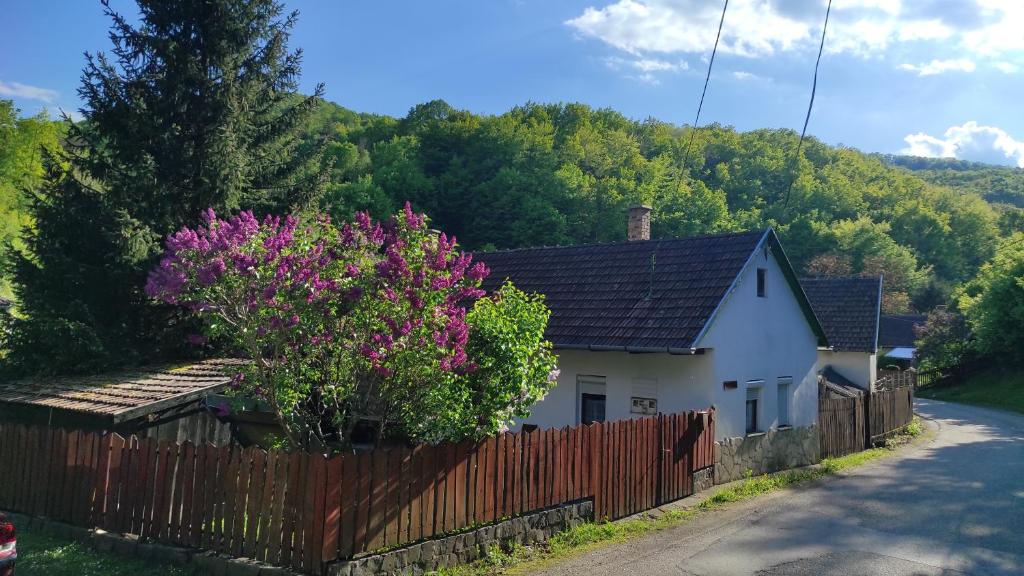 una casa blanca con una valla al lado de una carretera en Mókusles Vendégház, en Háromhuta