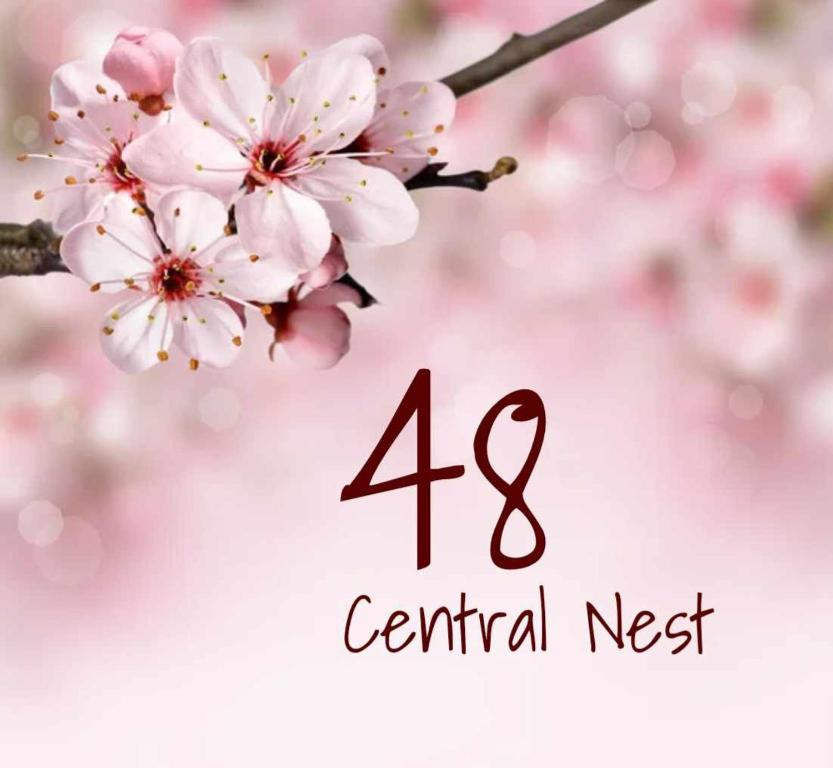 Fotografie z fotogalerie ubytování 48 Central Nest v destinaci Volos