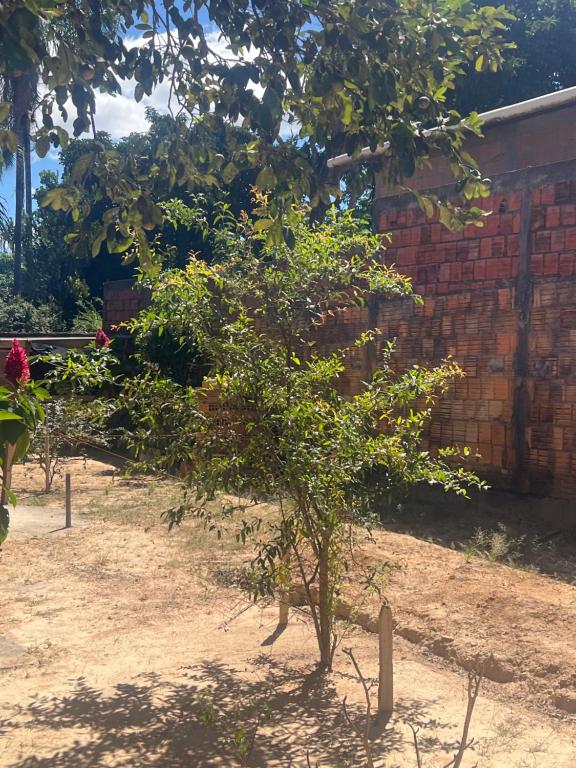Zahrada ubytování Pousada Recanto do Tucano