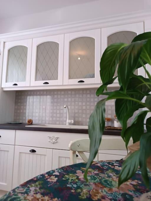a kitchen with white cabinets and a table with a plant at Στούντιο στο κέντρο της Πρέβεζας in Preveza