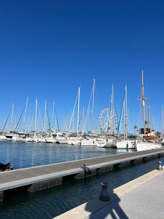 une marina remplie de nombreux bateaux amarrés sur l'eau dans l'établissement Charmant appartement à la plage, à Canet