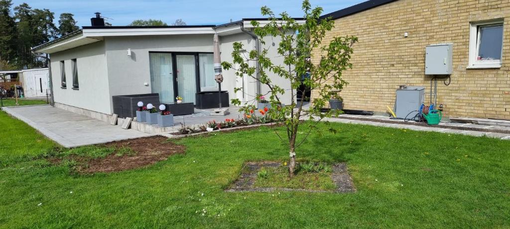 a small tree in a yard in front of a house at Stenhuset in Linköping