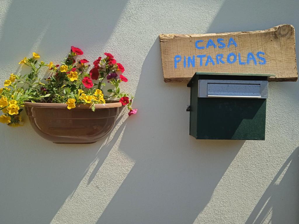a pot of flowers on the side of a wall at Casa Pintarolas in Lousã