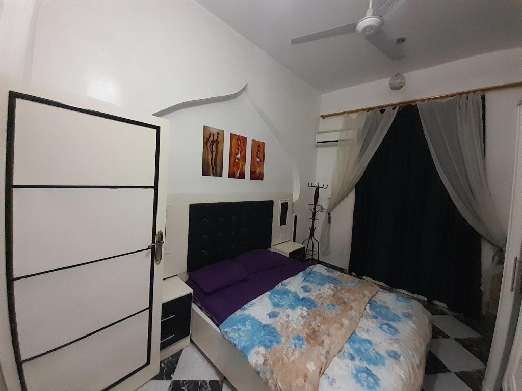 盧克索的住宿－Alaa Aldin Flats，一间卧室配有一张床和吊扇
