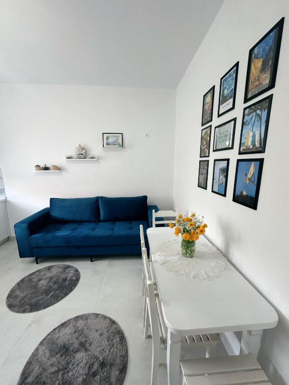 Js House Shkoder 4