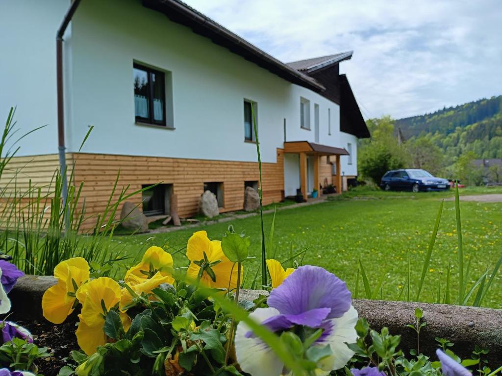 a flower bed in front of a house at Smrek Sokolec Agroturystyka in Ludwikowice Kłodzkie