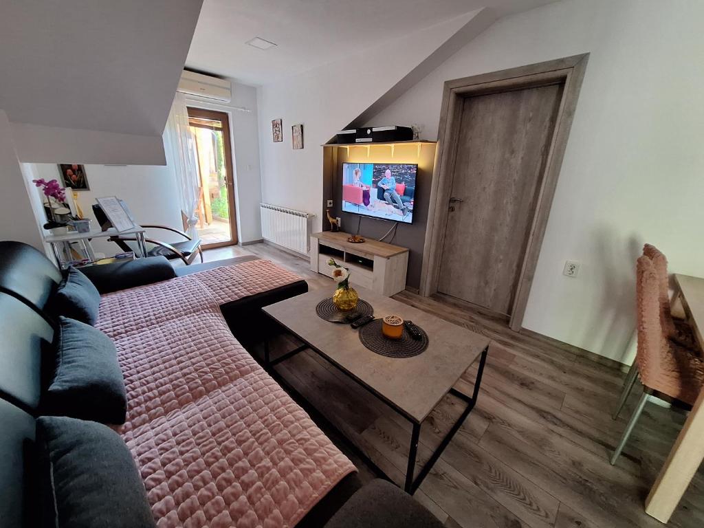 - un salon avec un canapé et une télévision dans l'établissement Apartman Dujmović 1, à Otočac