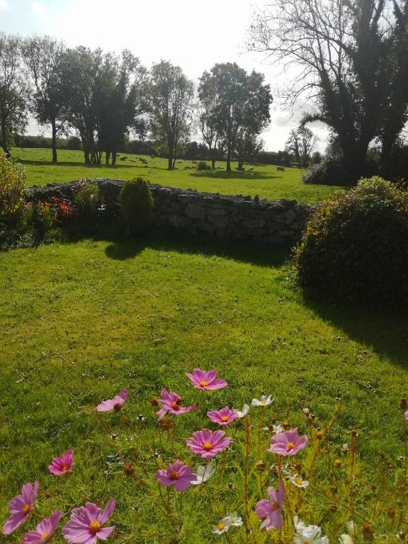 Zahrada ubytování Quaint secluded Cottage close to beautiful Kinvara