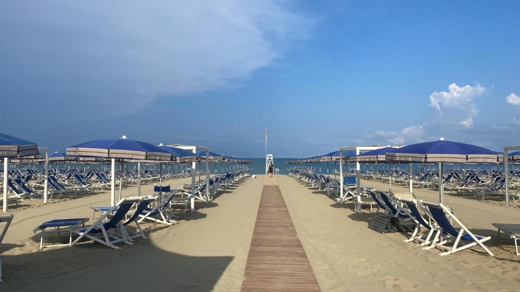 a row of chairs and umbrellas on a beach at Cosmopolitan Golf & Beach Resort in Tirrenia