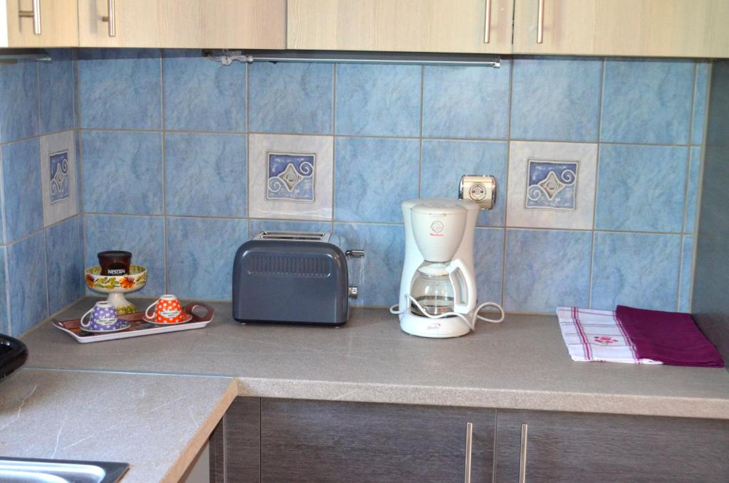 Kuchyň nebo kuchyňský kout v ubytování Villa Eytychia