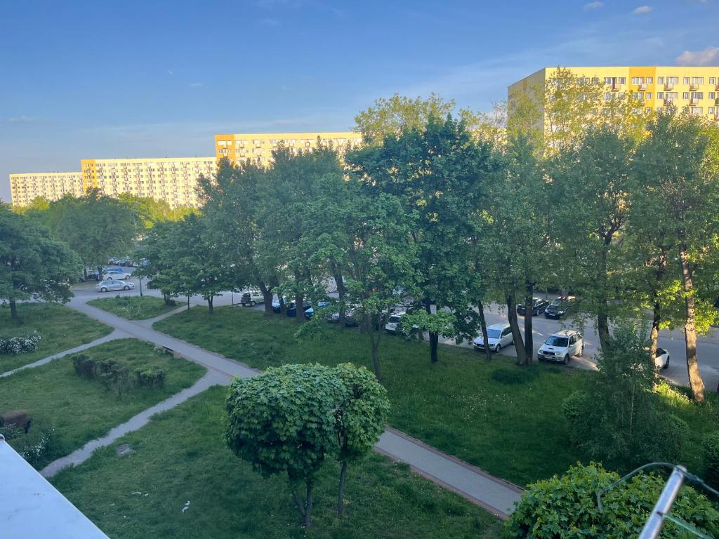 Pomorska - Żabianka - 1