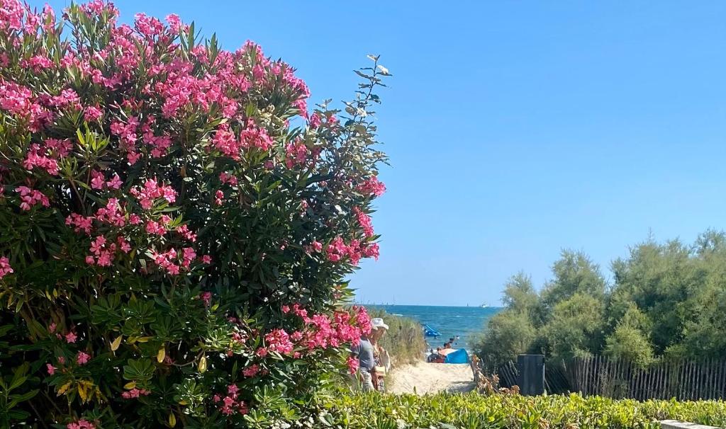 Bord de mer: soleil, plage et grande terrasse pour instants de détente (Wifi, clim)