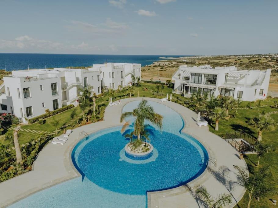 an aerial view of a resort with a swimming pool at Peaceful Suite Beachfront Getaway in Mağusa