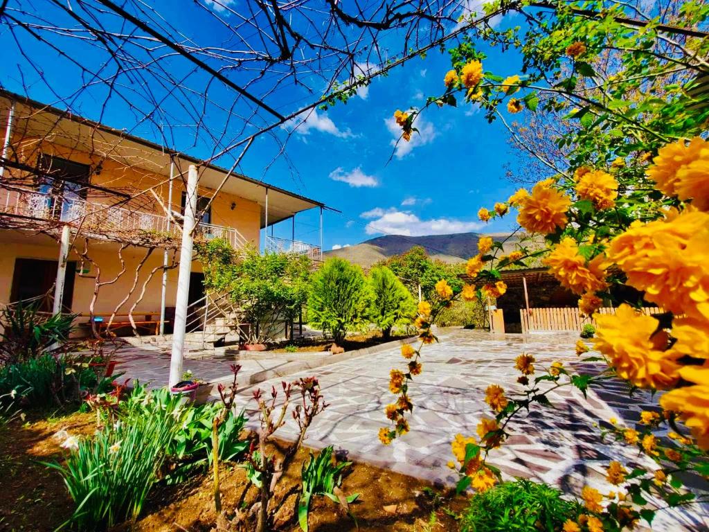 Jardí fora de Guesthouse Mtkvari