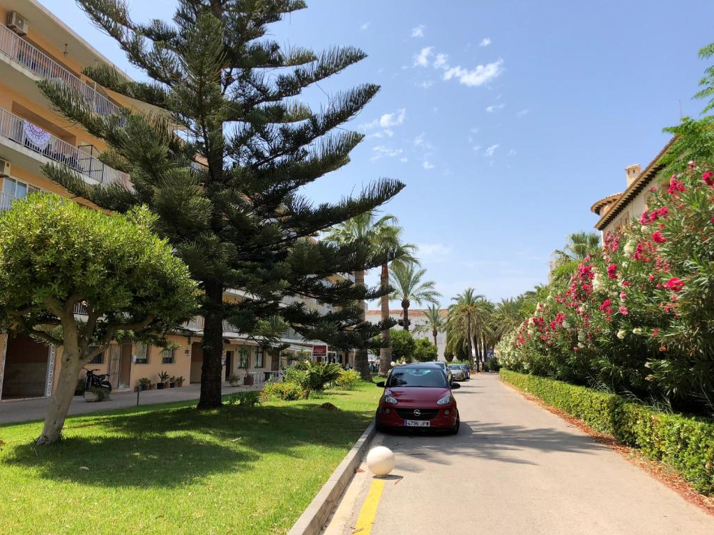 Vista Al Mare外面的花园