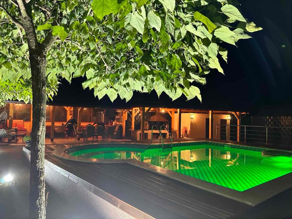 uma piscina à noite com iluminação verde em Relax Vučković em Ivanjica