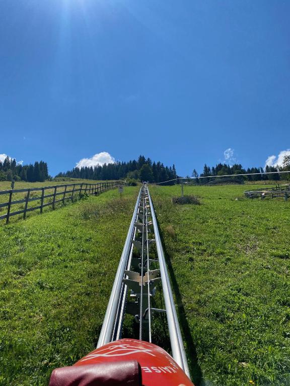 Príroda v okolí apartmánu