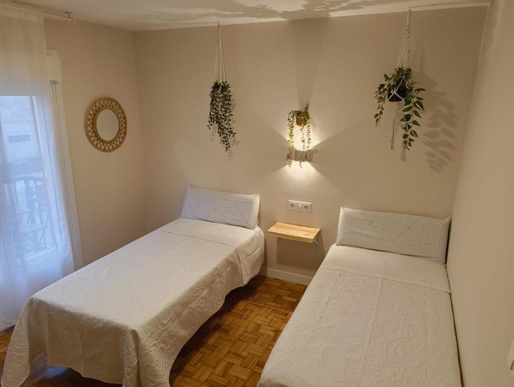 Villa Galicia (Padrón) - 13