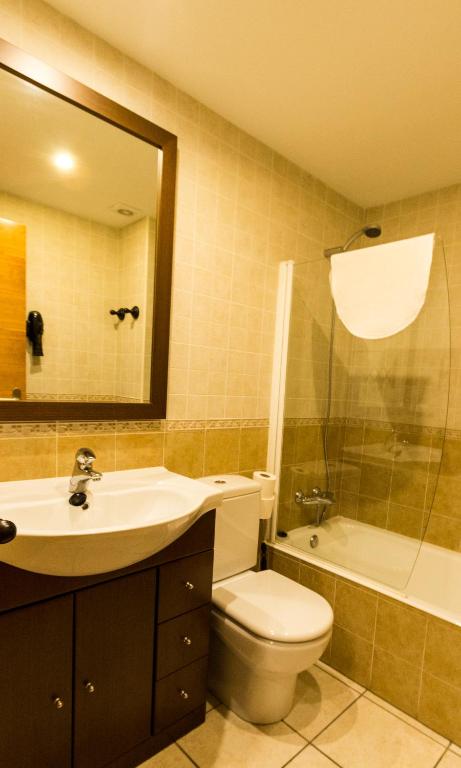 A bathroom at Apartamentos Casa Lavedan