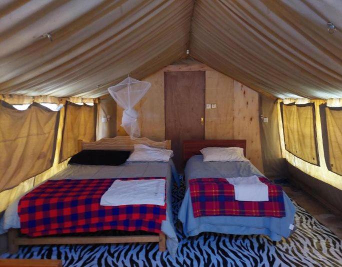 a couple of beds in a tent at Emayian sekenani camp in Sekenani