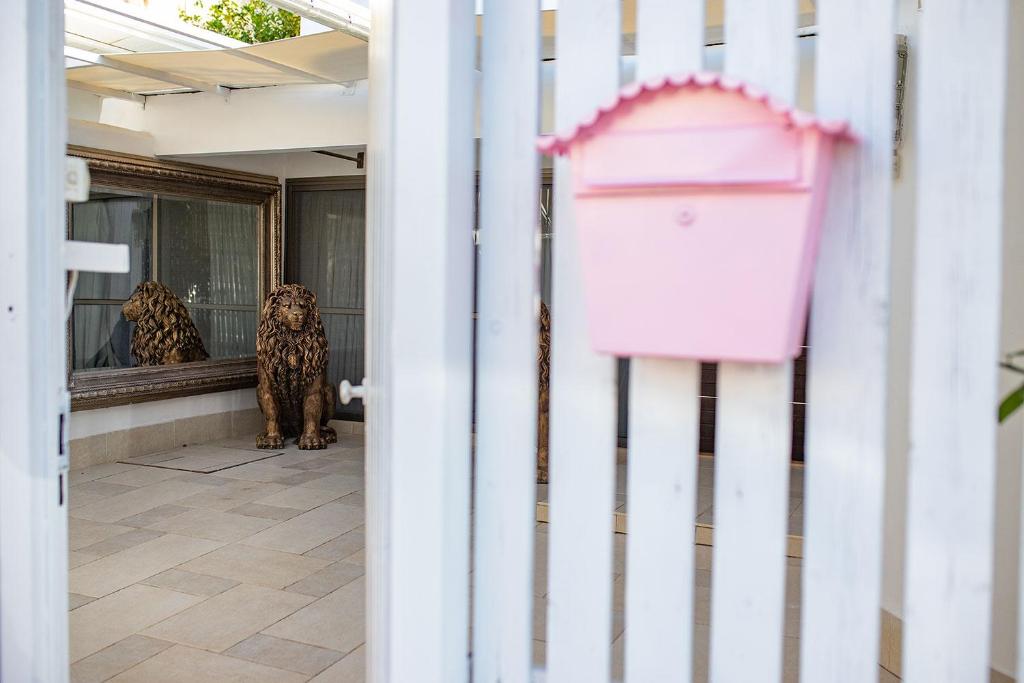a dog is looking in the window of a building at Eilat Beach House in Eilat