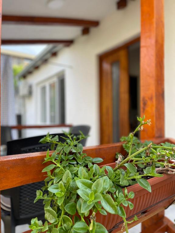 Zahrada ubytování Rustic Villa